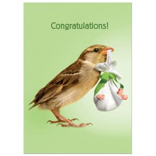 TREE FREE GREETING CARD HOW TWEET